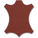 Вафельный круг 14,5 см, Капибара — Животные и динозавры
