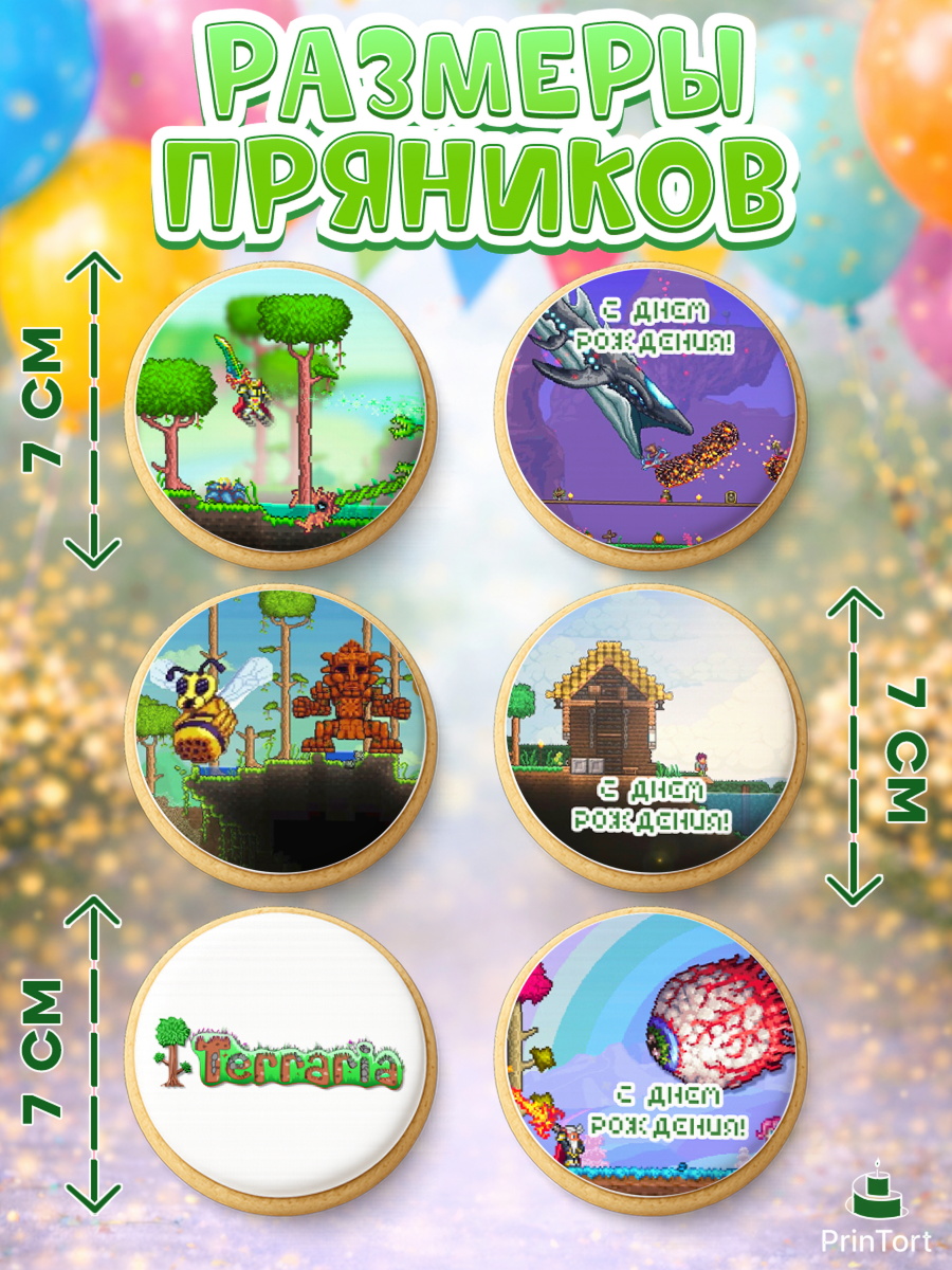 Пряники с пищевой печатью масматрица, Террария, Terraria, Девочка, День рождения, арт. PP209726_1, кадр 2