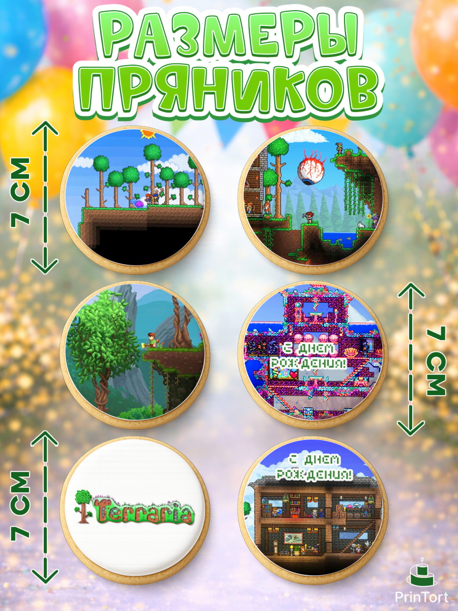 Пряники с пищевой печатью масматрица, Террария, Terraria, Девочка, День рождения, арт. PP209726_2, кадр 2