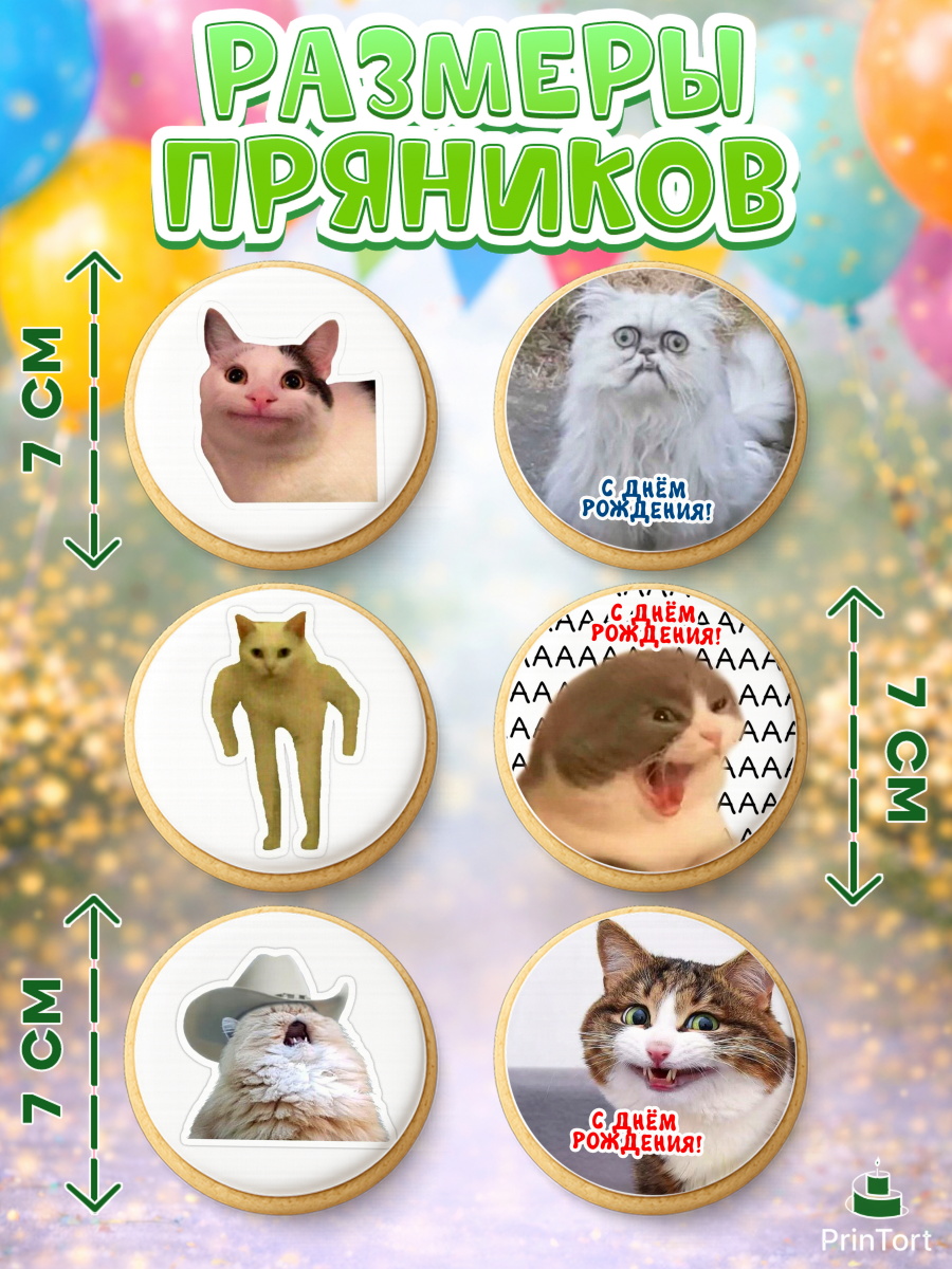 Пряники с пищевой печатью масматрица, Мемы и коты, кот, мемный кот, кошка, приколы, Девочка, арт. PP219322_1, кадр 2
