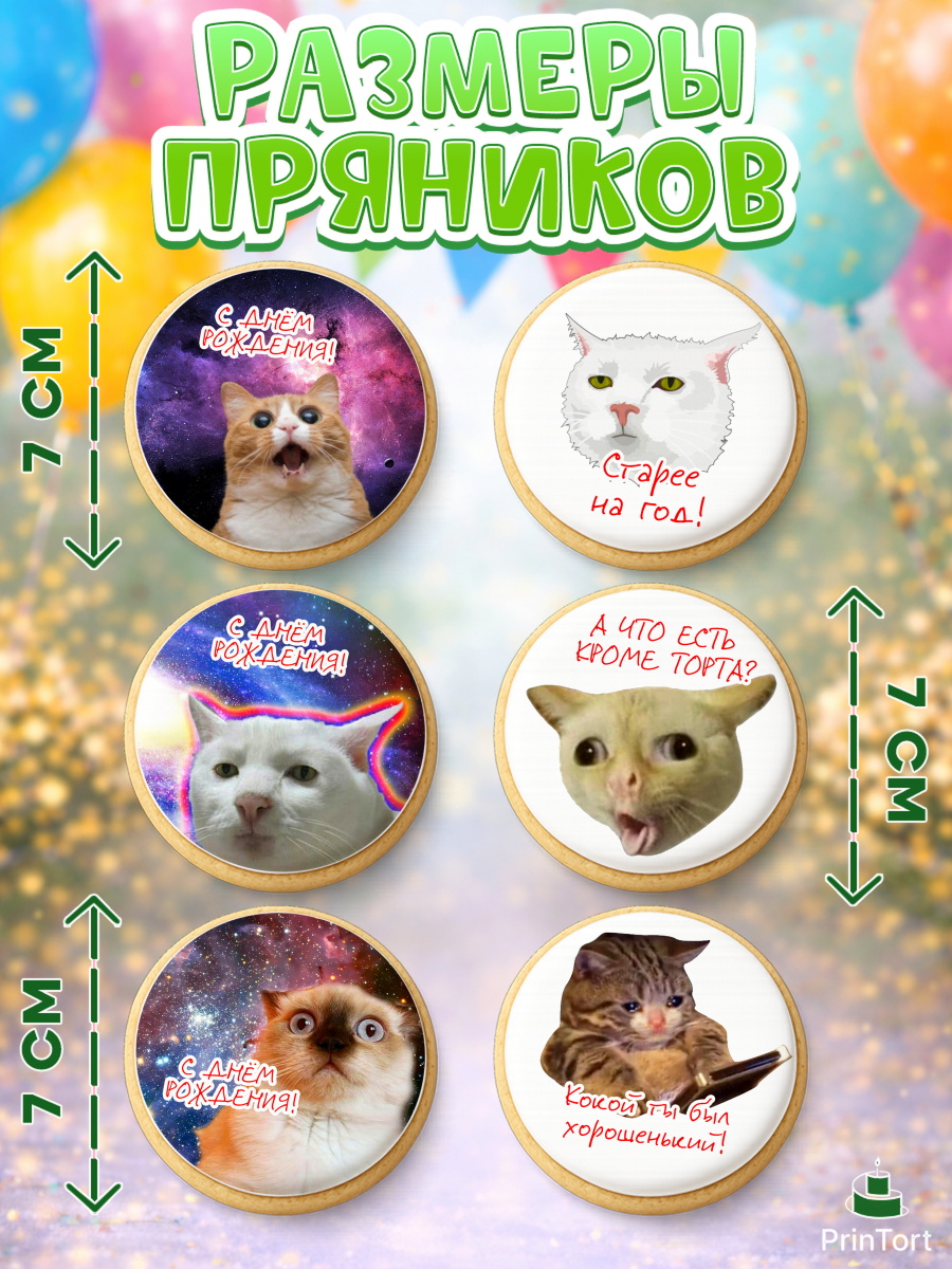 Пряники с пищевой печатью масматрица, Мемы и коты, кот, мемный кот, кошка, приколы, Девочка, арт. PP219325_1, кадр 2