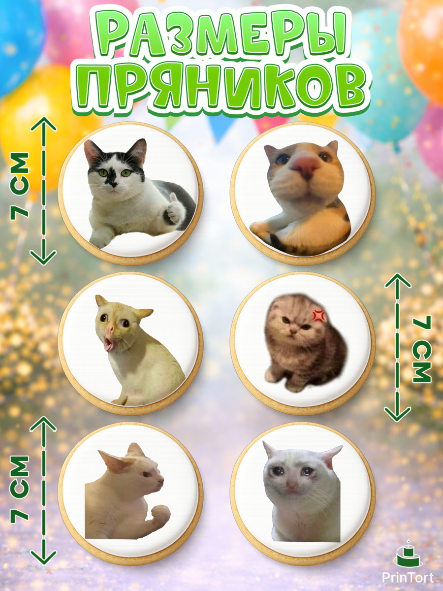 Пряники с пищевой печатью масматрица, Мемы и коты, кот, мемный кот, кошка, приколы, Девочка, арт. PP219328_2, кадр 2