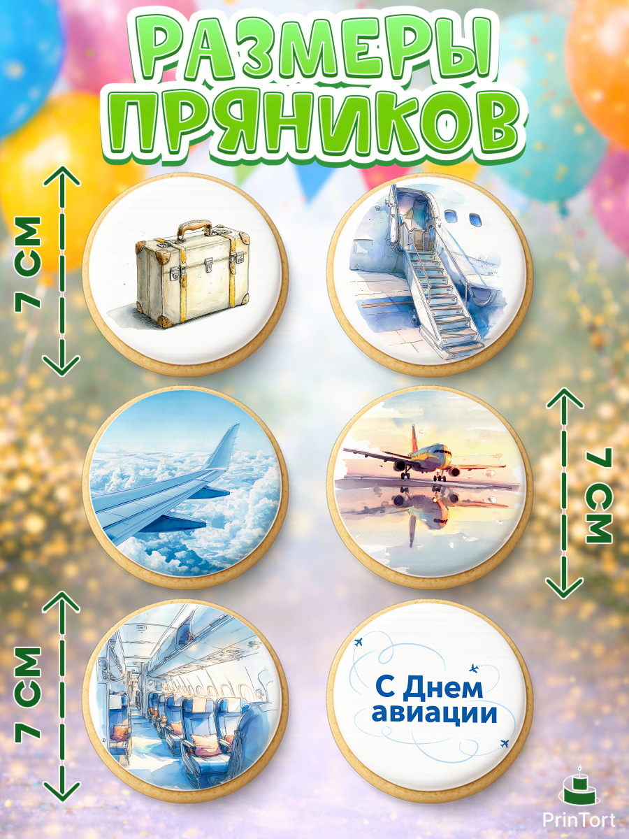 Пряники с пищевой печатью масматрица, Авиация, пилот, стюардесса, самолет, путешествие, автопилот, арт. PP222541_2, кадр 2