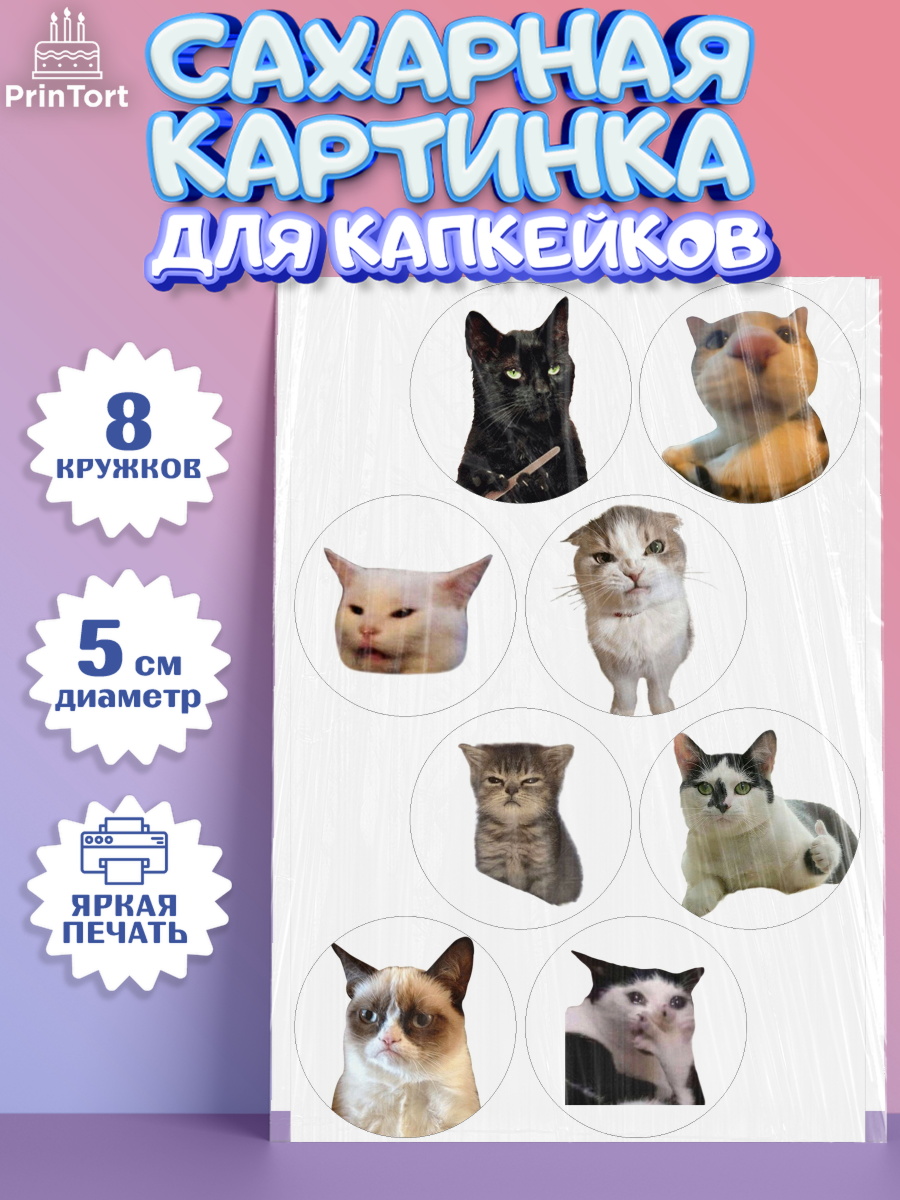 Сахарные капкейки Капк 5 Сахарные капкейки, Мемы и коты, кот, мемный кот, кошка, приколы, Девочка, День рождения, арт. PT0219328_1