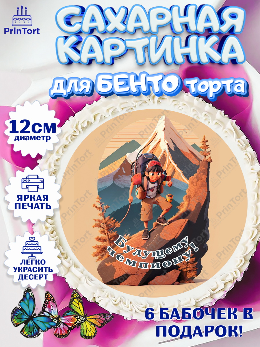 Сахарные круги 12см PT05 Скалолазание Круг Сахарные круги 12см PT05, Скалолазание, горы, Девочка, День рождения, арт. PT0516706