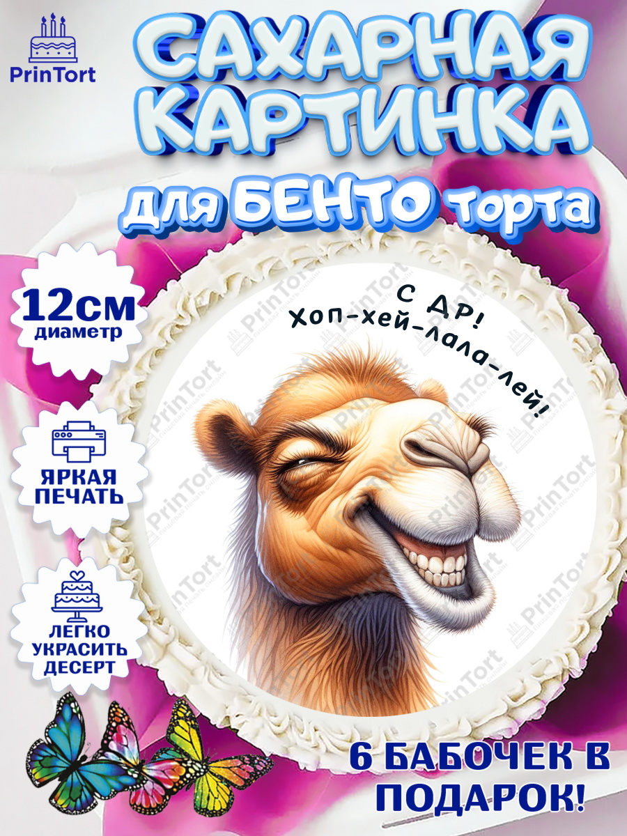 Сахарные круги 12см PT05 Прикольные животные Круг Сахарные круги 12см PT05, Прикольные животные, звери, животные, забавные животные, Девочка, арт. PT0518450