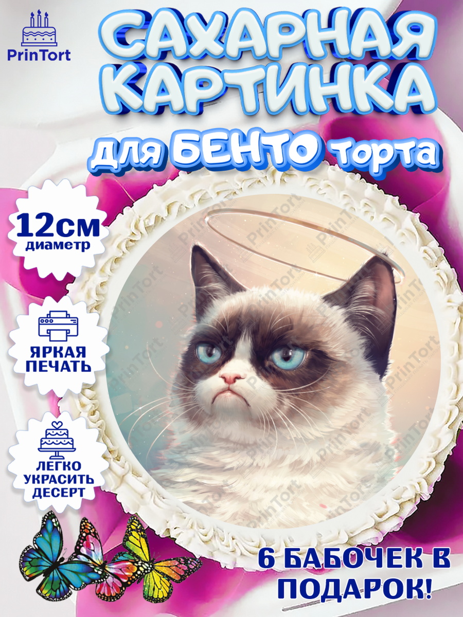 Сахарные круги 12см PT05 Мемы и коты Круг Сахарные круги 12см PT05, Мемы и коты, кот, мемный кот, кошка, приколы, Девочка, День рождения, арт. PT0519330
