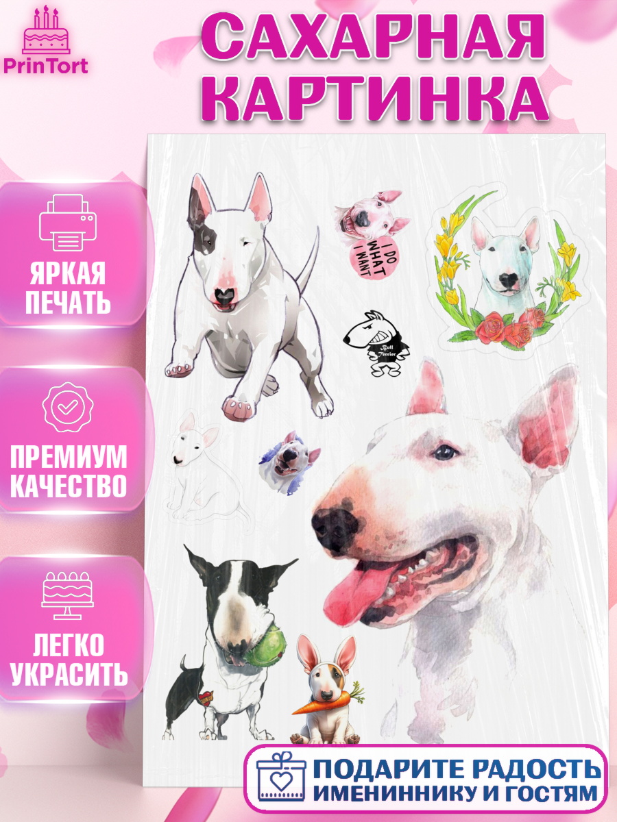 Сахарная картинка Бультерьер Топпер Сахарная картинка, Бультерьер, Собака, Девочка, День рождения, арт. PT118317