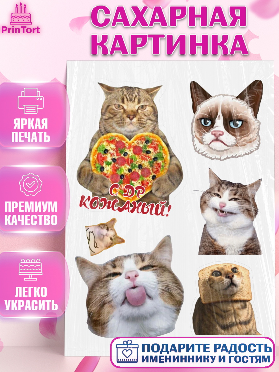 Сахарная картинка Мемы и коты Топпер Сахарная картинка, Мемы и коты, кот, мемный кот, кошка, приколы, Девочка, День рождения, арт. PT119323