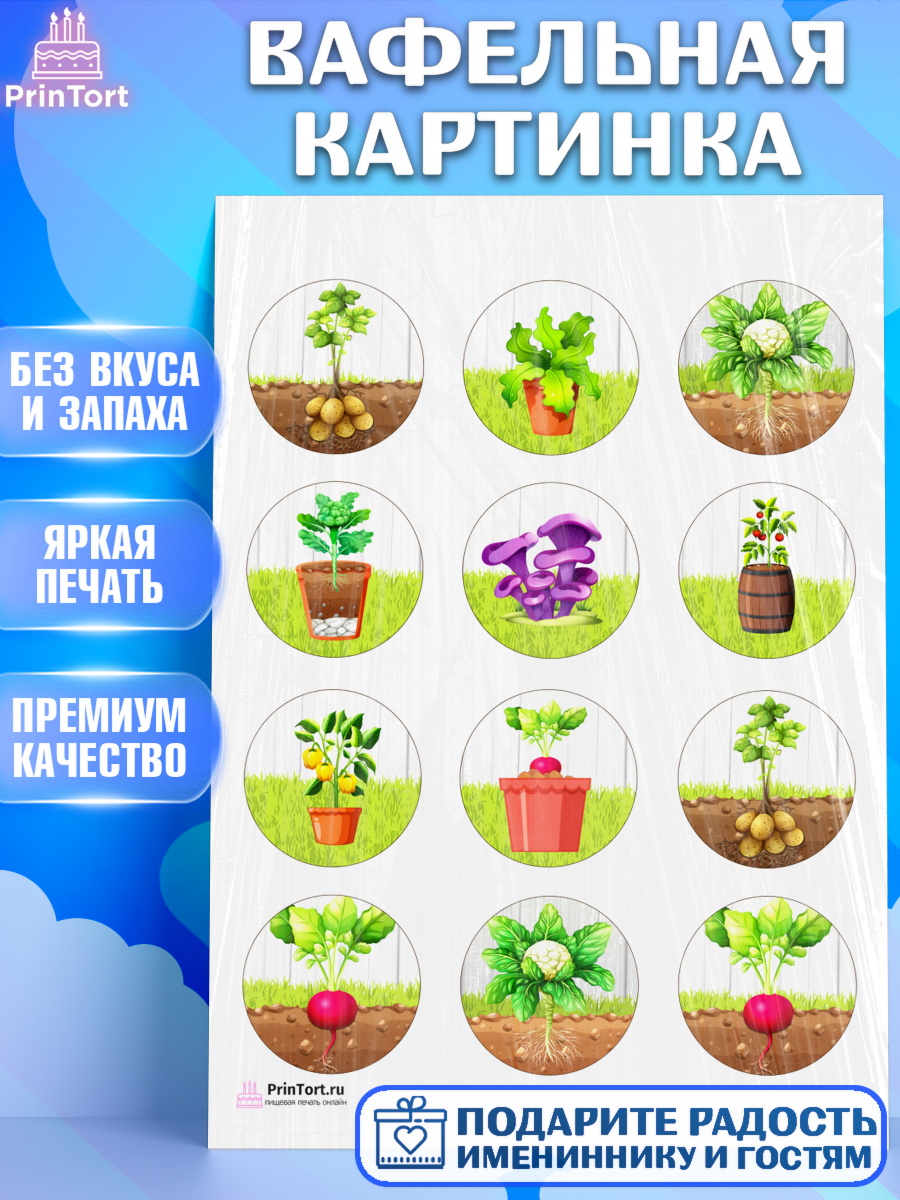 Вафельная картинка на торт Огород ребёнку в день рождения Вафельная картинка, Огород, Дача, Девочка, День рождения, арт. PT203092
