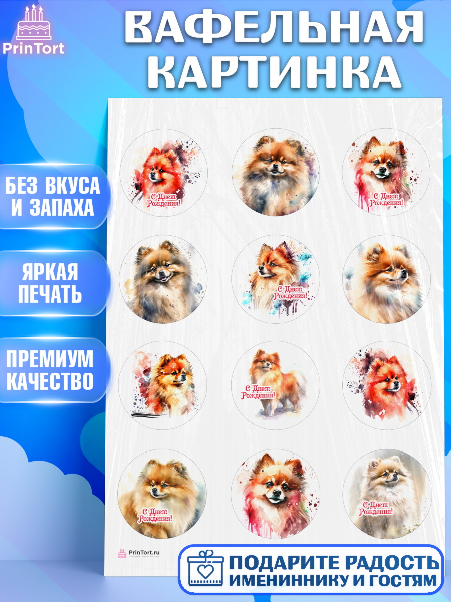 Вафельная картинка Шпиц Капк 5 Вафельная картинка, Шпиц, Девочка, День рождения, арт. PT213549