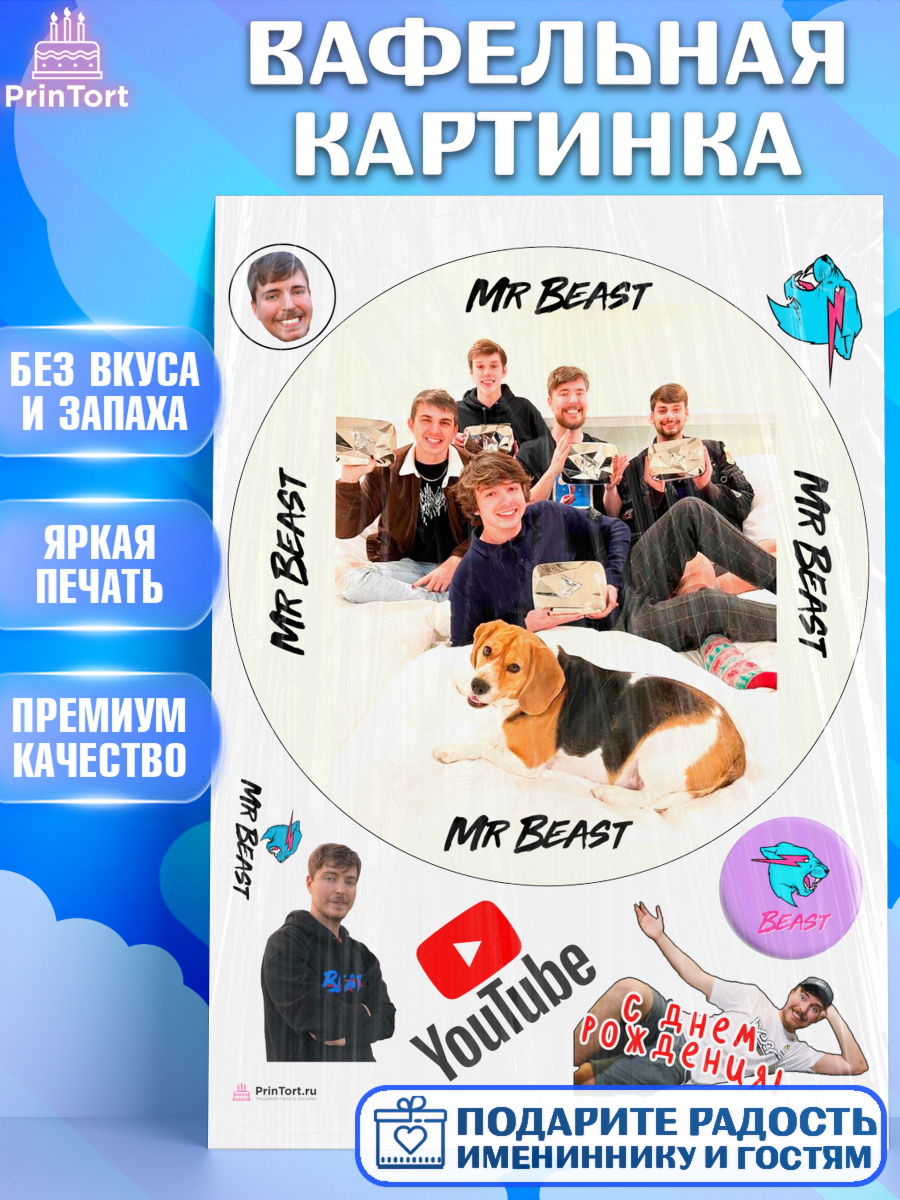 Вафельная картинка Мистер Бист Круг Вафельная картинка, Мистер Бист, mister beast, ютуб, youtube, Девочка, День рождения, арт. PT217027