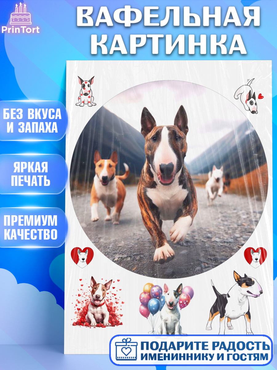 Вафельная картинка Бультерьер Круг Вафельная картинка, Бультерьер, Собака, Девочка, День рождения, арт. PT218323