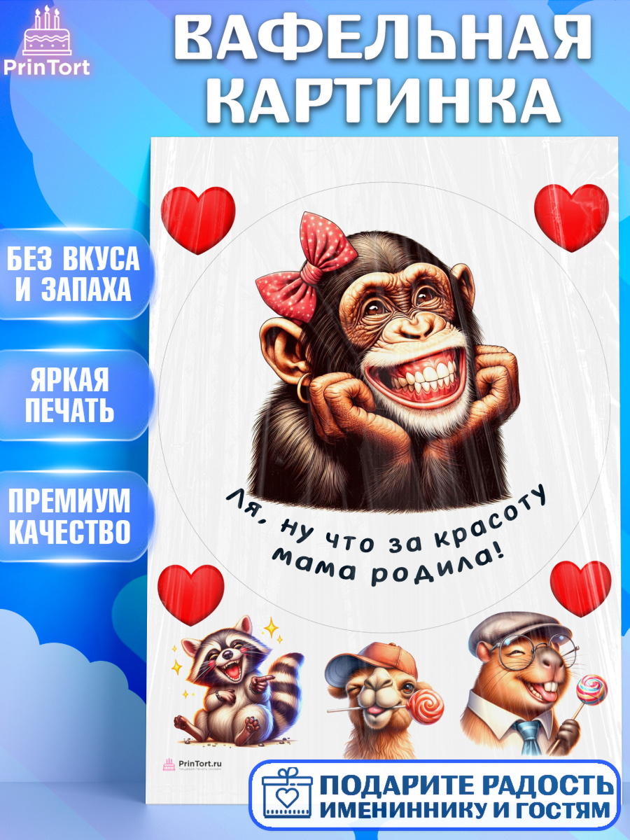 Вафельная картинка Прикольные животные Круг Вафельная картинка, Прикольные животные, обезьяна, животные, звери, забавные животные, Девушка, арт. PT218453