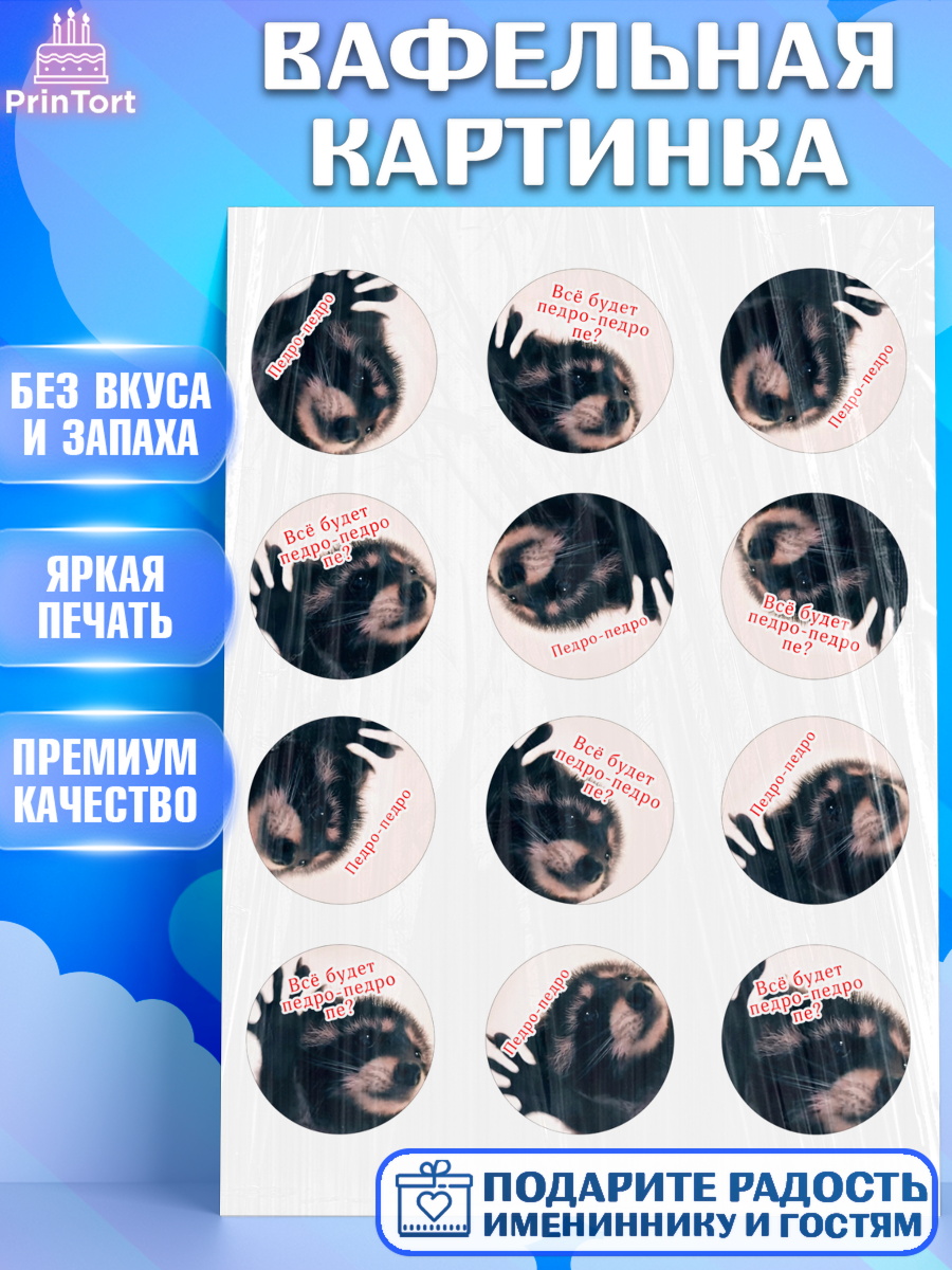 Вафельная картинка Енот Педро-педро Капк 5 Вафельная картинка, Енот Педро-педро, Енот, педро-педро, танцующий енот, Девочка, День рождения, арт. PT218480