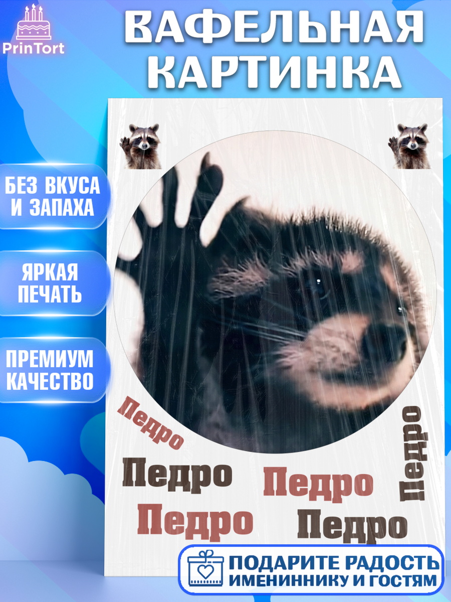 Вафельная картинка Енот Педро-педро Круг Вафельная картинка, Енот Педро-педро, Енот, педро-педро, танцующий енот, Девочка, День рождения, арт. PT218486
