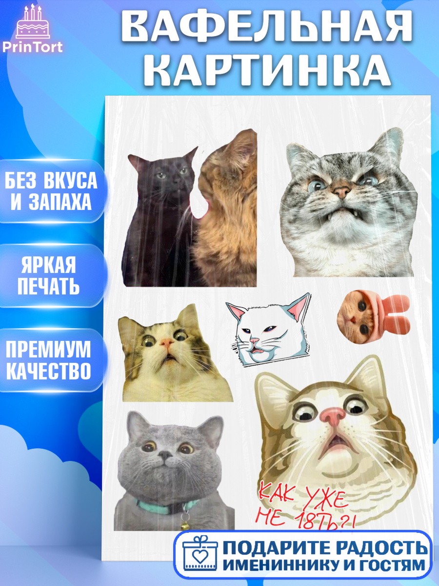 Вафельная картинка Мемы и коты Топпер Вафельная картинка, Мемы и коты, кот, мемный кот, кошка, приколы, Девочка, День рождения, арт. PT219320