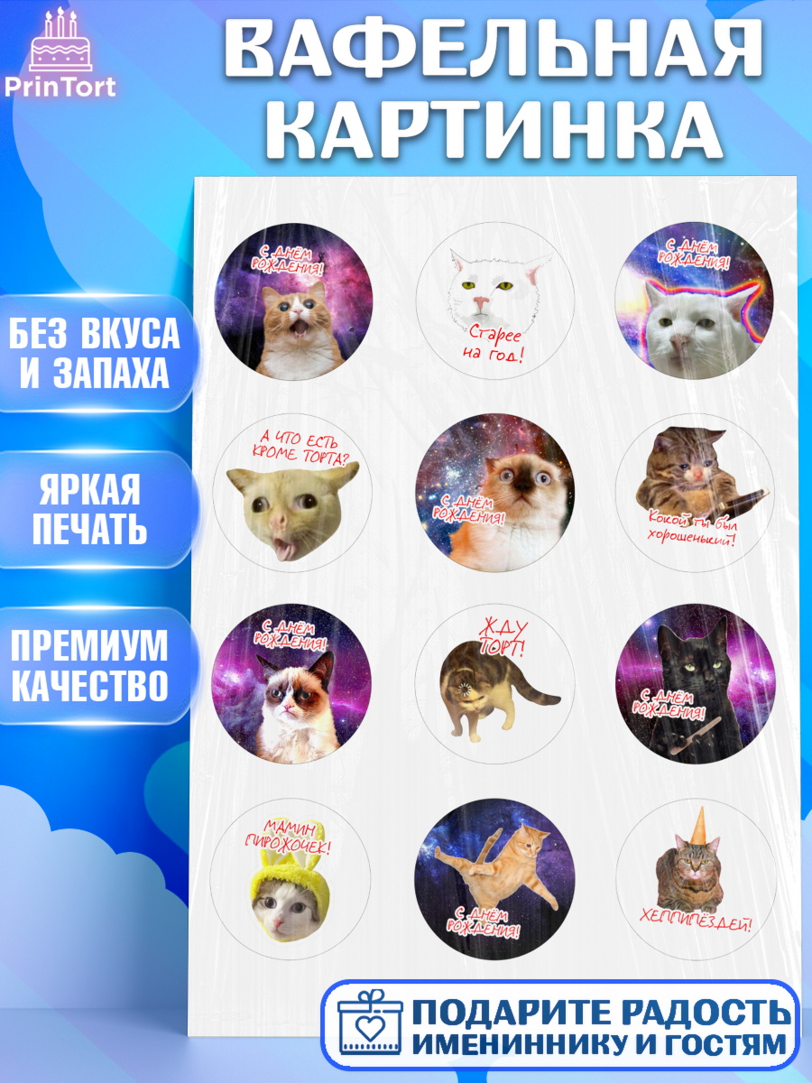 Вафельная картинка Мемы и коты Капк 5 Вафельная картинка, Мемы и коты, кот, мемный кот, кошка, приколы, Девочка, День рождения, арт. PT219325