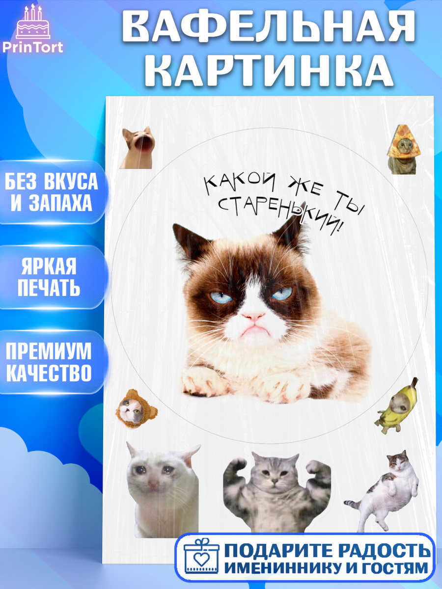 Вафельная картинка Мемы и коты Круг Вафельная картинка, Мемы и коты, кот, мемный кот, кошка, приколы, Девочка, День рождения, арт. PT219335
