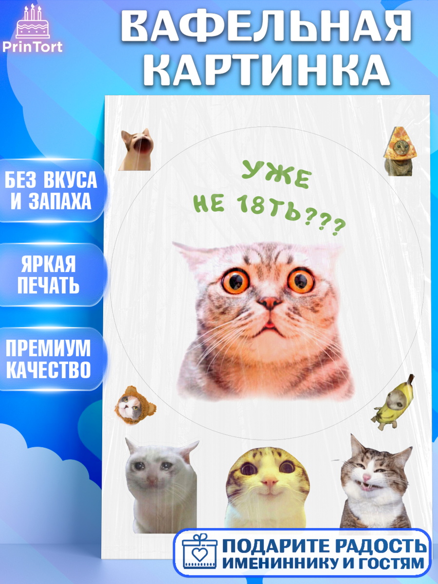 Вафельная картинка Мемы и коты Круг Вафельная картинка, Мемы и коты, кот, мемный кот, кошка, приколы, Девочка, День рождения, арт. PT219337