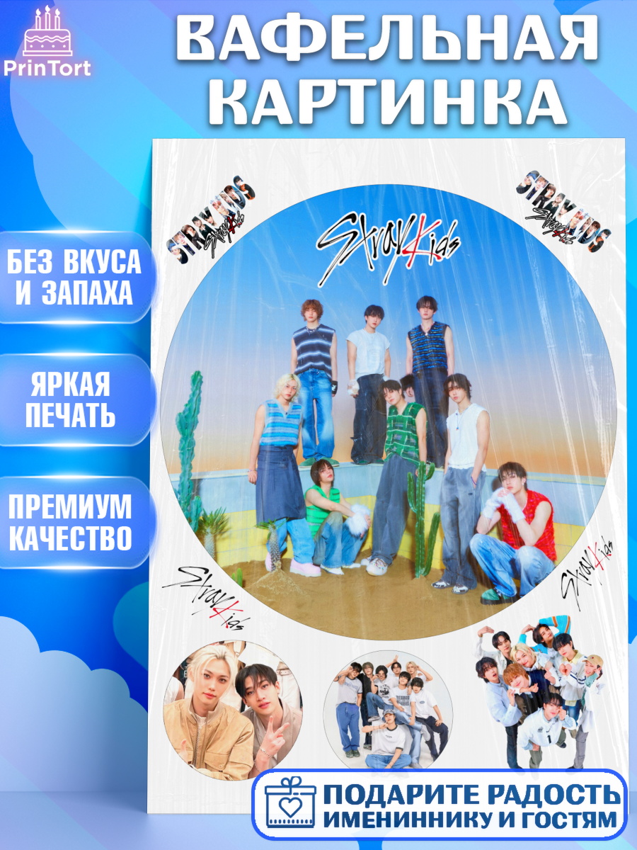 Вафельная картинка Группа Stray Kids Круг Вафельная картинка, Стрей Кидс, Музыкальная группа, Группа Stray Kids, Stray Kids, Девочка, арт. PT220067
