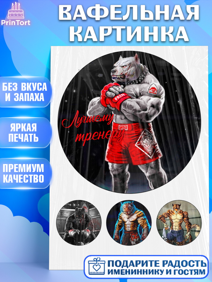 Вафельная картинка Фигурный декор Вафельная картинка, Тренеру, ММА, Мальчик, День рождения, арт. PT226053