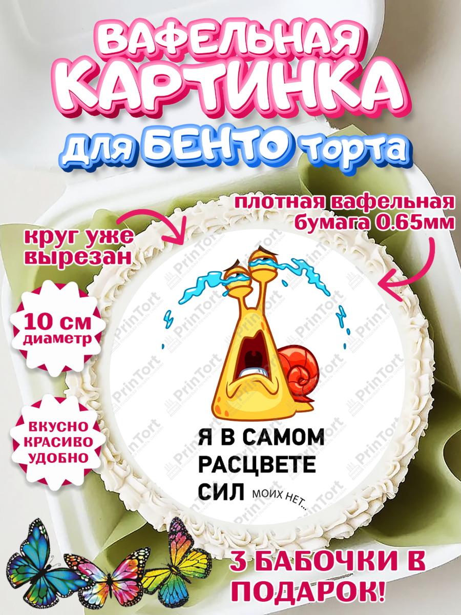 Вафельный круг для Бенто 10см с днем рождения Круг Вафельный круг для Бенто 10см, с днем рождения, Девушка, 62 года, День рождения, арт. PT312101