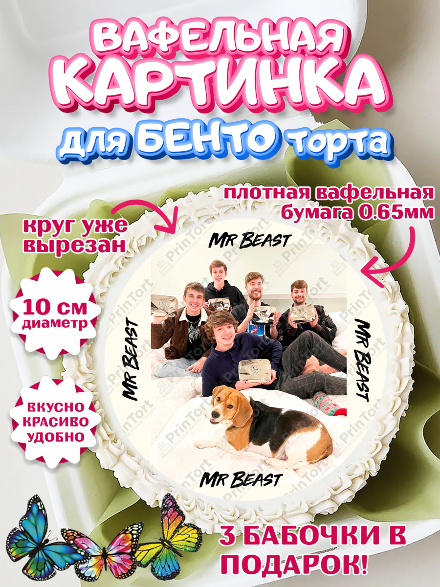 Вафельный круг для Бенто 10см Мистер Бист Круг Вафельный круг для Бенто 10см, Мистер Бист, mister beast, ютуб, youtube, Девочка, День рождения, арт. PT317027