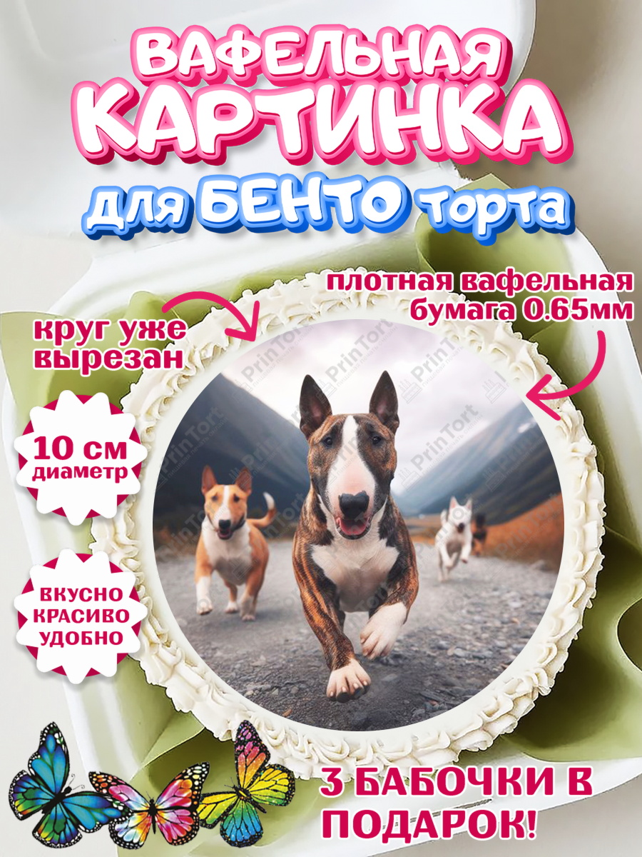 Вафельный круг для Бенто 10см Бультерьер Круг Вафельный круг для Бенто 10см, Бультерьер, Собака, Девочка, День рождения, арт. PT318323