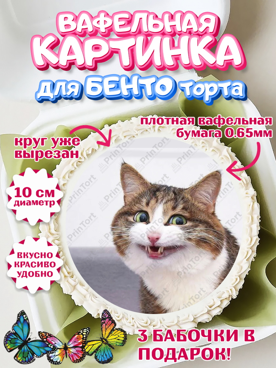 Вафельный круг для Бенто 10см Мемы и коты Круг Вафельный круг для Бенто 10см, Мемы и коты, кот, мемный кот, кошка, приколы, Девочка, День рождения, арт. PT319332