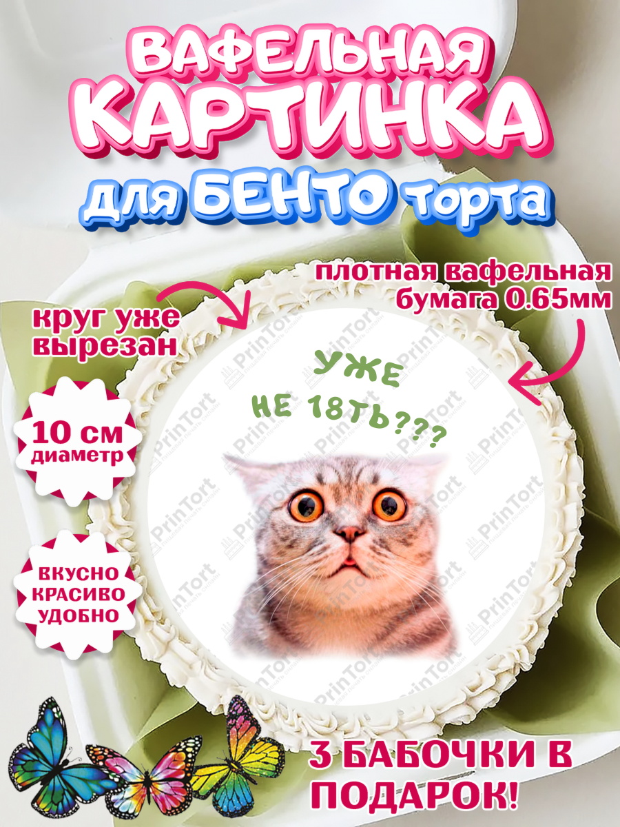 Вафельный круг для Бенто 10см Мемы и коты Круг Вафельный круг для Бенто 10см, Мемы и коты, кот, мемный кот, кошка, приколы, Девочка, День рождения, арт. PT319337