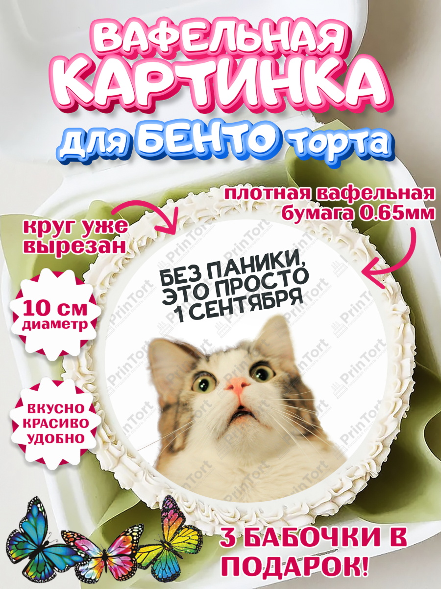 Вафельный круг для Бенто 10см 1 сентября Круг Вафельный круг для Бенто 10см, 1 сентября, День знаний, снова в школу, первый раз в первый класс, арт. PT320135