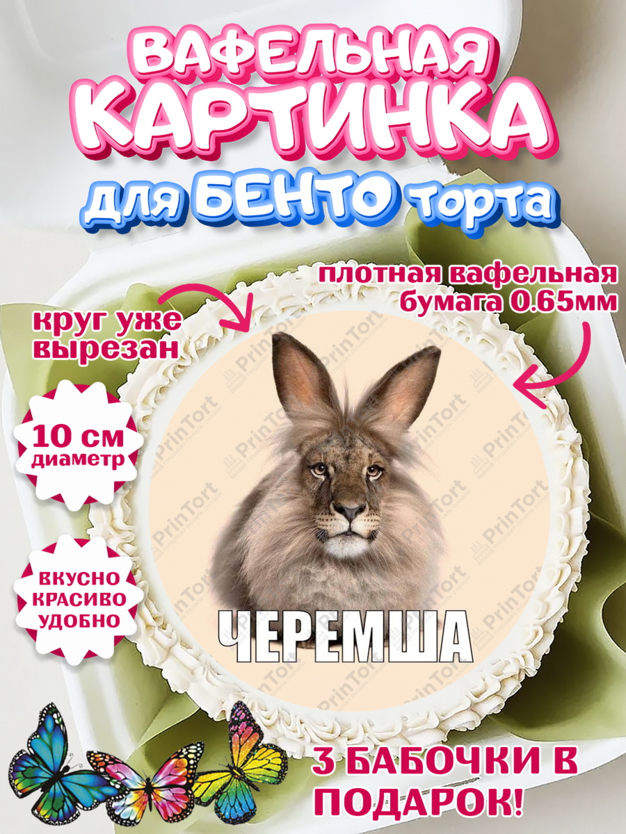 Вафельный круг для Бенто 10см Круг Вафельный круг для Бенто 10см, Черемша, Мем Черемша, Девочка, Без конкретного повода, арт. PT323445