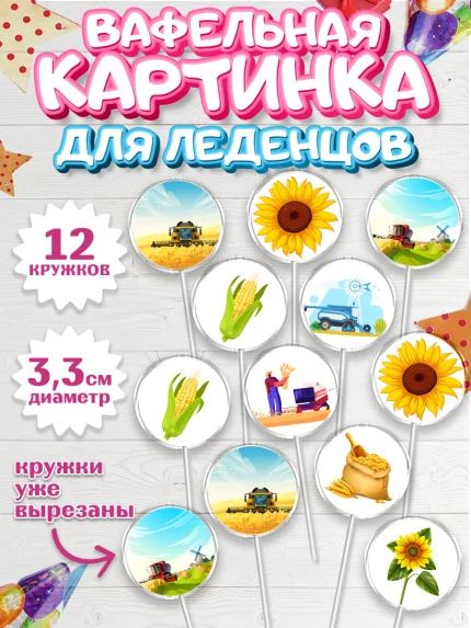 Вафельная картинка для леденцов 3,5см, Комбайнер, Девочка, День рождения, арт. PL113370