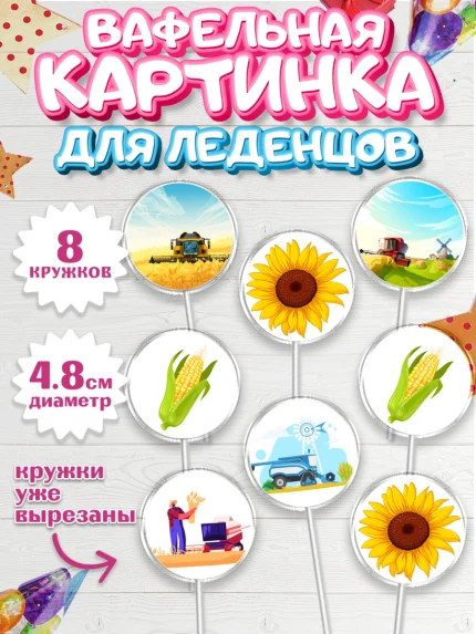 Вафельная картинка для леденцов 4,5см, Комбайнер, Девочка, День рождения, арт. PL213370_1