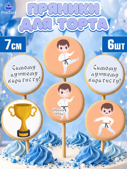Пряники с пищевой печатью масматрица, Карате, Спорт, Мальчик, День рождения, арт. PP204104_1