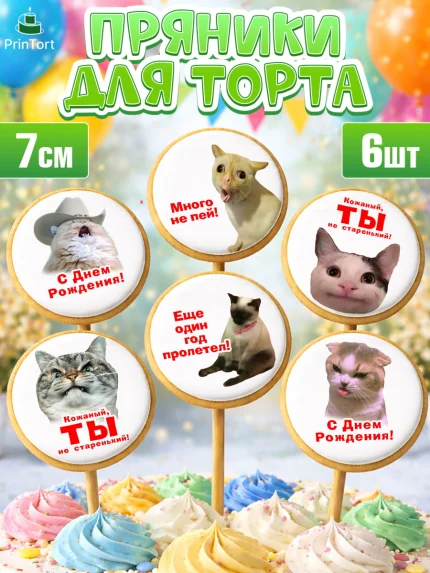 Пряники с пищевой печатью масматрица, Мемы и коты, кот, мемный кот, кошка, приколы, Девочка, арт. PP219319_1
