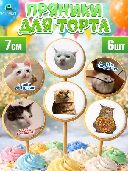 Пряники с пищевой печатью масматрица, Мемы и коты, кот, мемный кот, кошка, приколы, Девочка, арт. PP219322_2
