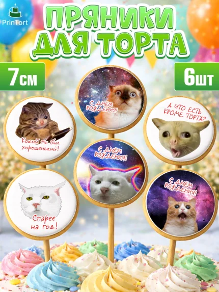 Пряники с пищевой печатью масматрица, Мемы и коты, кот, мемный кот, кошка, приколы, Девочка, арт. PP219325_1