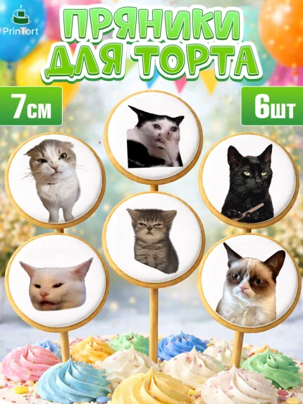 Пряники с пищевой печатью масматрица, Мемы и коты, кот, мемный кот, кошка, приколы, Девочка, арт. PP219328_1