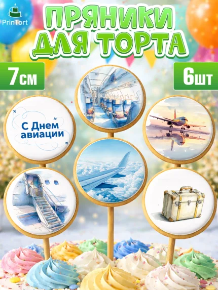 Пряники с пищевой печатью масматрица, Авиация, пилот, стюардесса, самолет, путешествие, автопилот, арт. PP222541_2