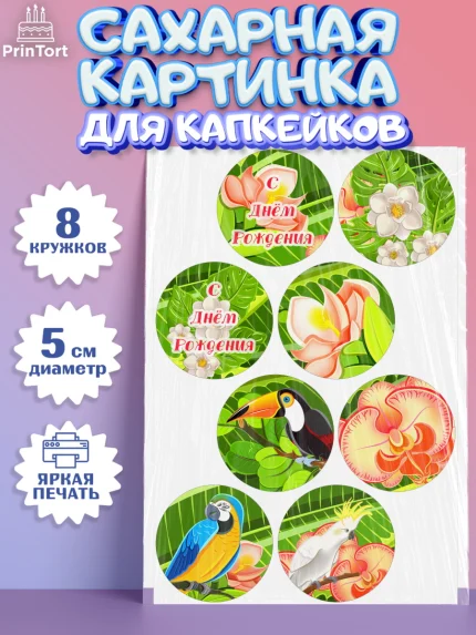 Сахарные капкейки, Путешествия, Путешественник, Мальчик, День рождения, арт. PT0202362_1