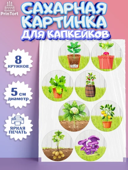 Сахарные капкейки, Огород, Дача, Мальчик, День рождения, арт. PT0203092_1