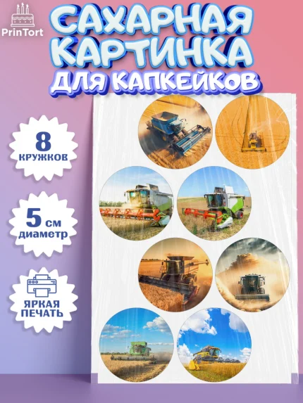 Сахарные капкейки, Комбайнер, Девочка, День рождения, арт. PT0213361_1
