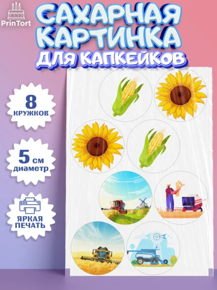 Сахарные капкейки, Комбайнер, Девочка, День рождения, арт. PT0213370_1