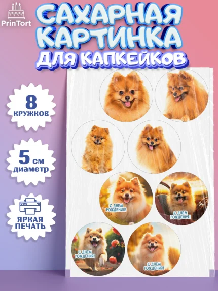 Сахарные капкейки, Шпиц, Девочка, День рождения, арт. PT0213553_1