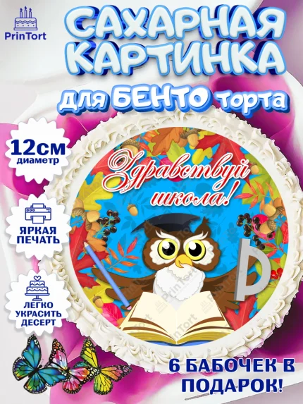 Сахарные круги 12см PT05, 1 сентября, День знаний Школа, Девушка, День знаний 1 сентября, арт. PT0501106