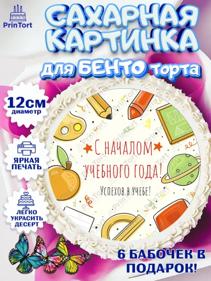 Сахарные круги 12см PT05, 1 сентября, День знаний Школа, Девушка, День знаний 1 сентября, арт. PT0501108