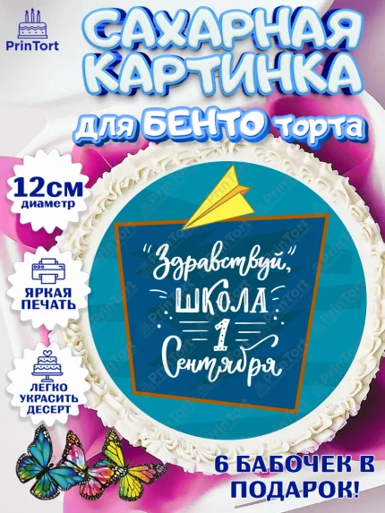 Сахарные круги 12см PT05, 1 сентября, День знаний Школа, Девушка, День знаний 1 сентября, арт. PT0501114