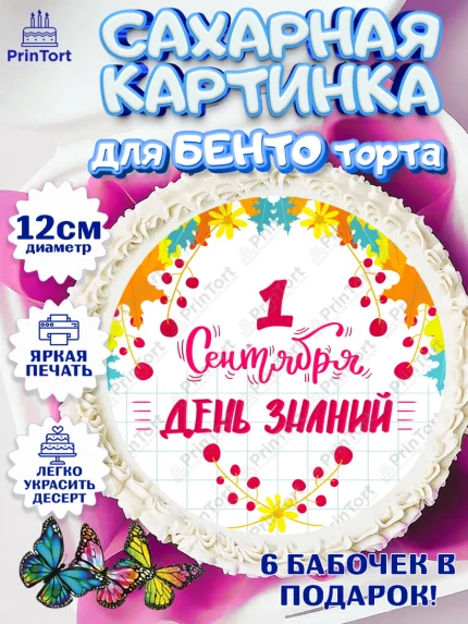 Сахарные круги 12см PT05, 1 сентября, День знаний Школа, Девушка, День знаний 1 сентября, арт. PT0501115
